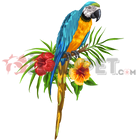 <b>Ara (Macaw) Papağanı</b>